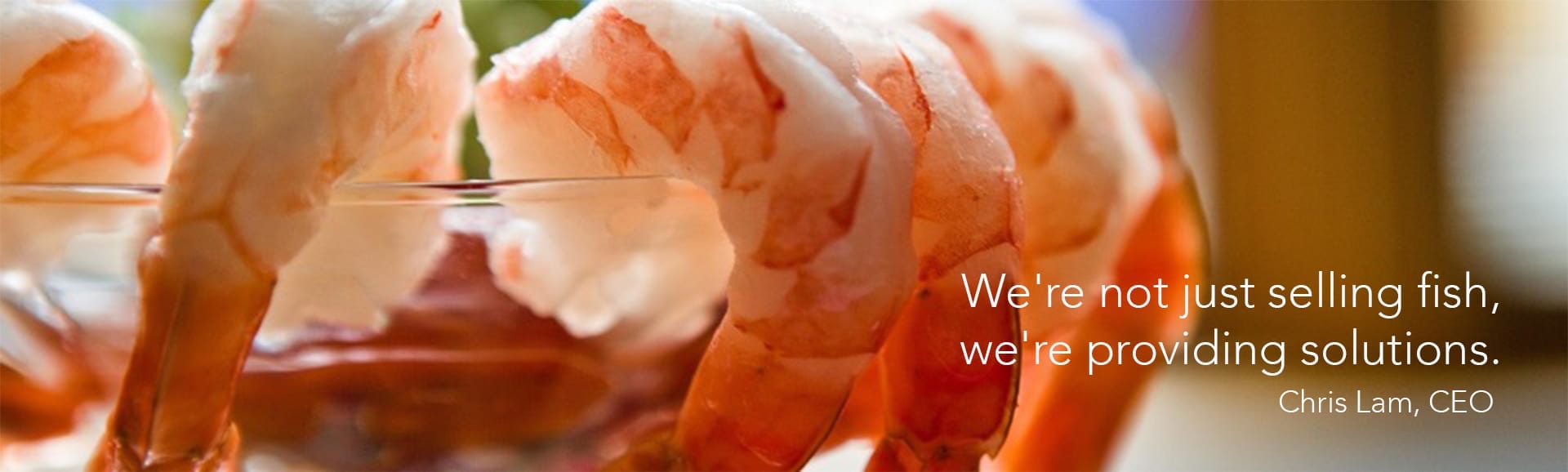 shrimp with copy shrimp with copy