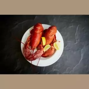 american lobster