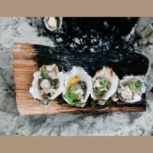 hama hama oysters
