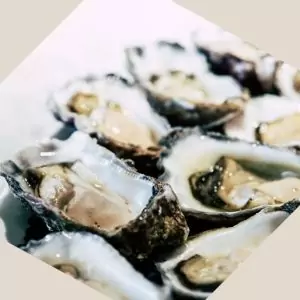 kumamoto oysters