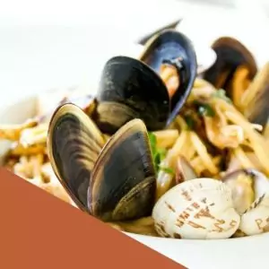 blue mussels
