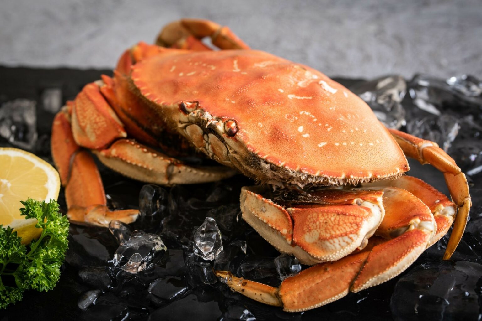 How to Host a Crab Feed | Pucci Foods