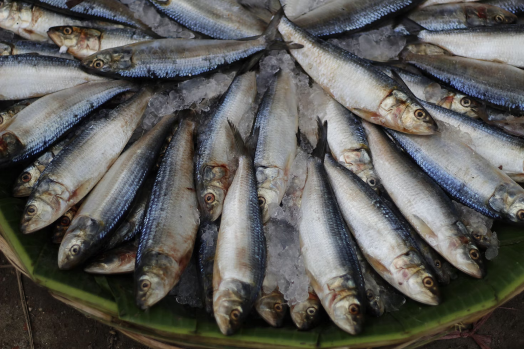 platter of herring, the number 5 healthiest fish to eat