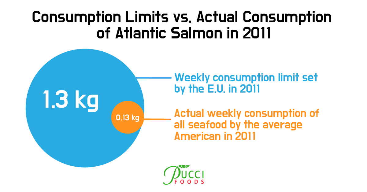 Farmed Salmon in 2022 Nutrition, Sustainability, & Safety Pucci Foods