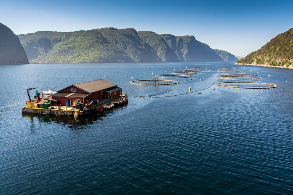 Norwegian fish farm for salmon growing in natural environment.