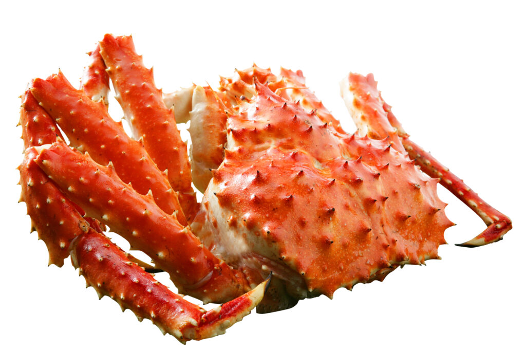 KING CRAB ORANGE ALL YOU NEED TO KNOW 