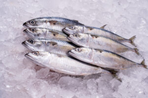 fish-distributors