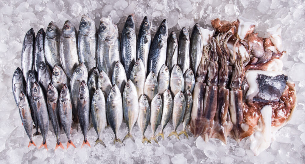 Wholesale Seafood Distributors