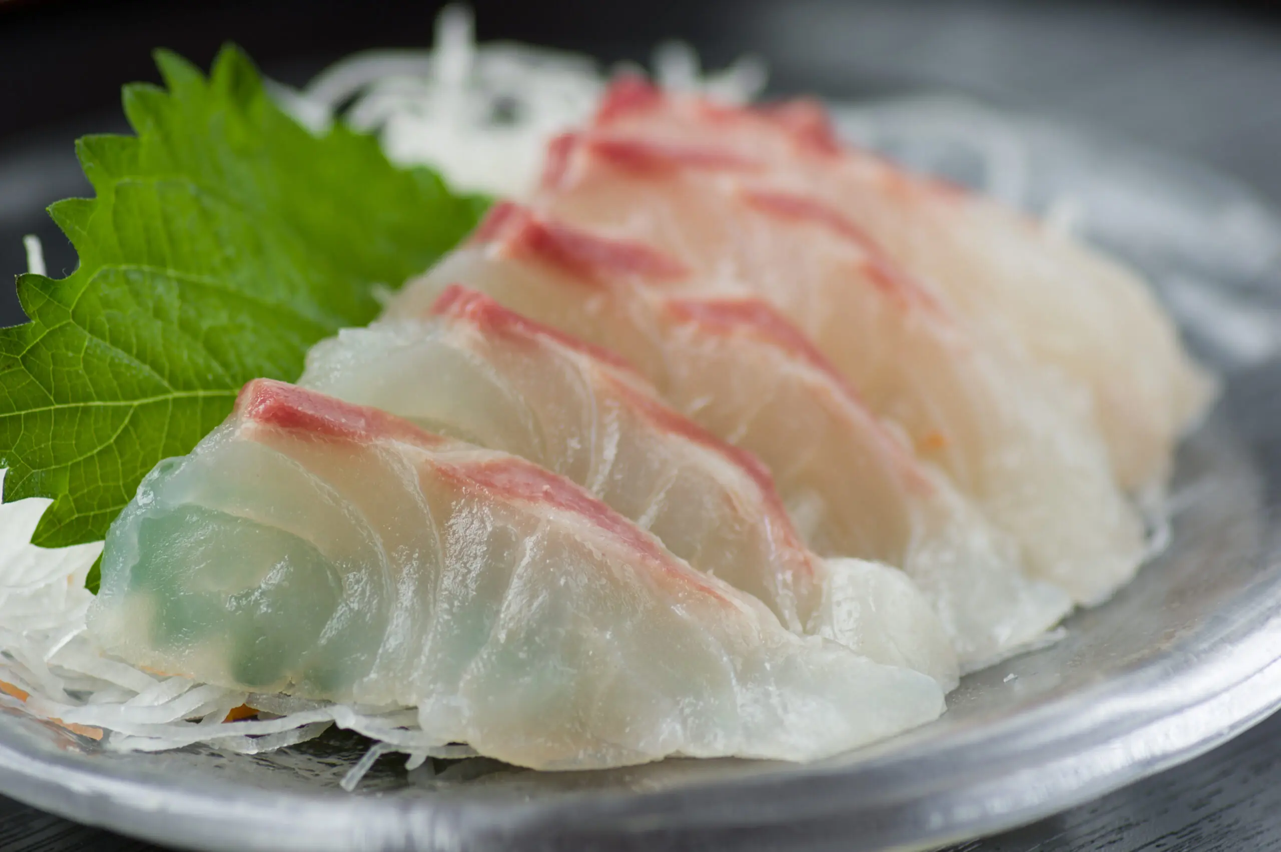 Snapper, Red