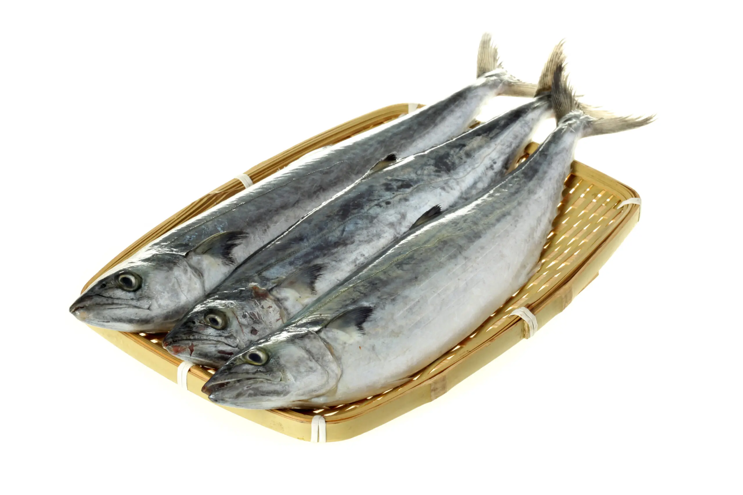 Mackerel, Spanish